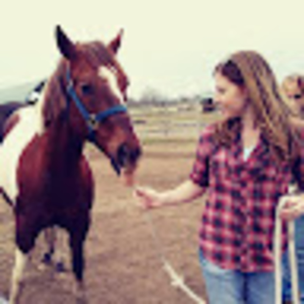 Meet your Posher, Kt